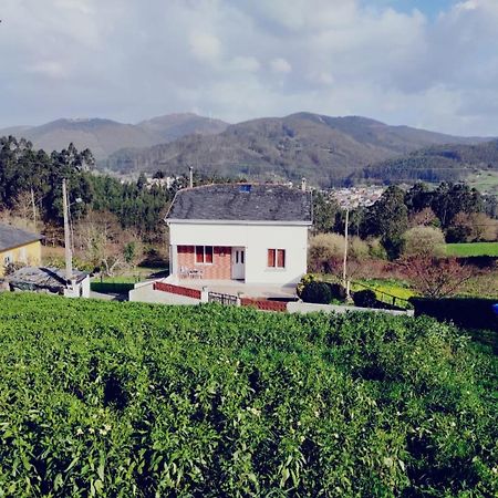 Casa familiar con finca privada  Viveiro Exterior foto