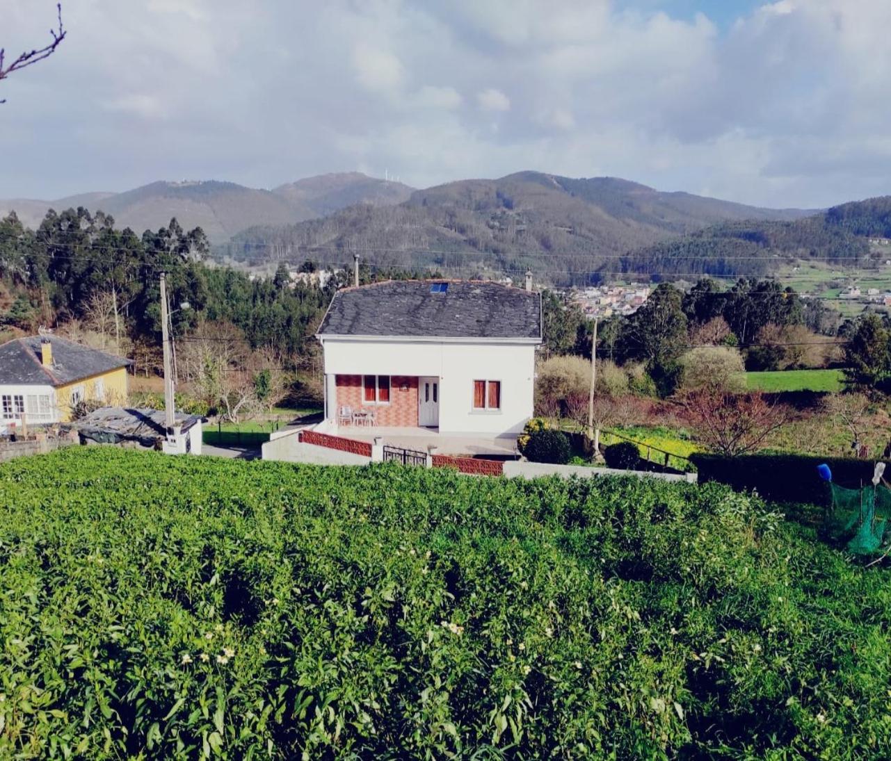Casa familiar con finca privada  Viveiro Exterior foto
